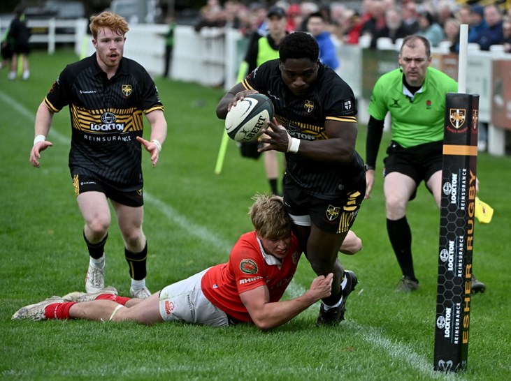 Hesh Rugby Esher Rugby