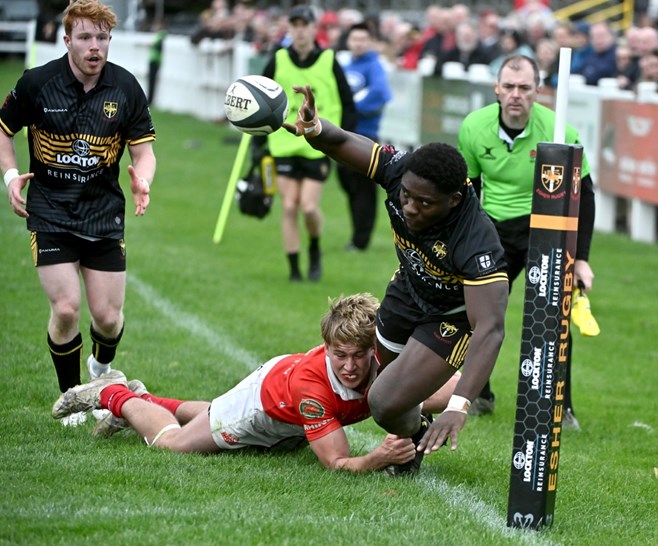 Hesh Rugby Esher Rugby