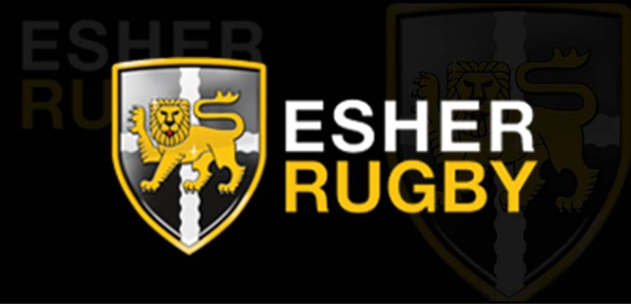 Great week for Esher Rugby on the pitch