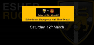 Esher Under 10s Showpiece Half Time Match - Esher 1st v Westcliff - Saturday, 12th March