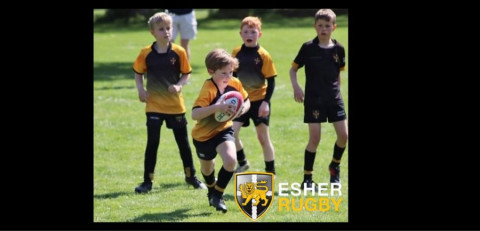 Esher Rugby Minis and Junior Rugby